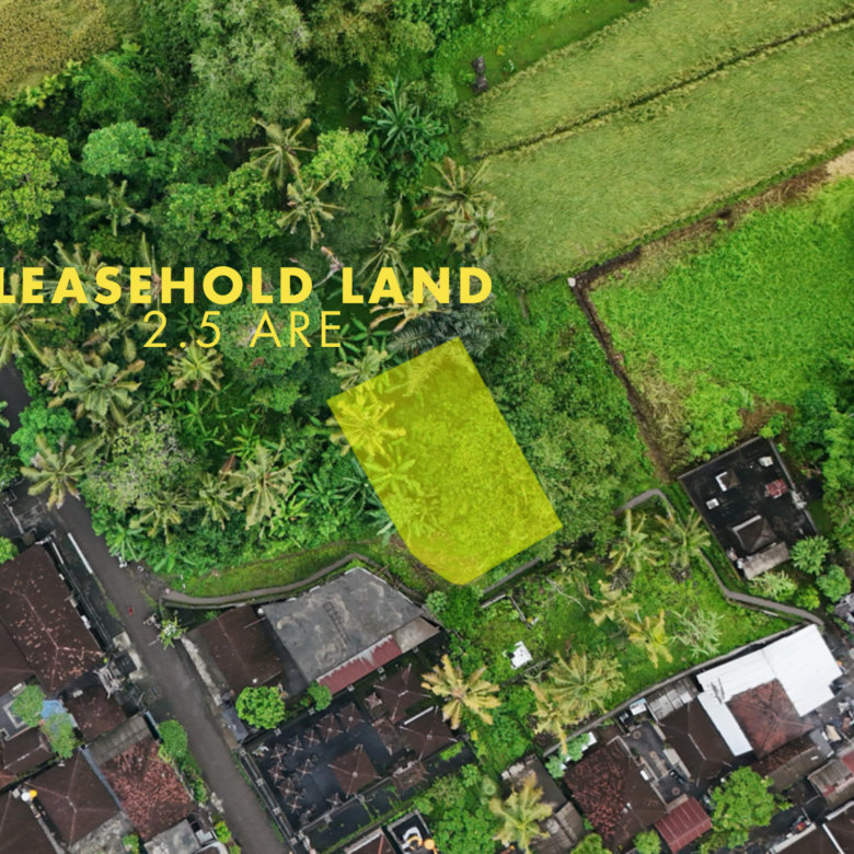 Sale Leasehold land 2.5 are Kedungu in bali-2