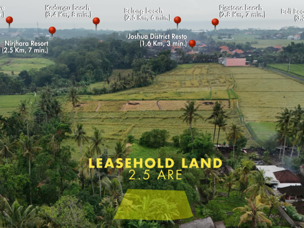 Sale Leasehold land 2.5 are Kedungu in bali-3