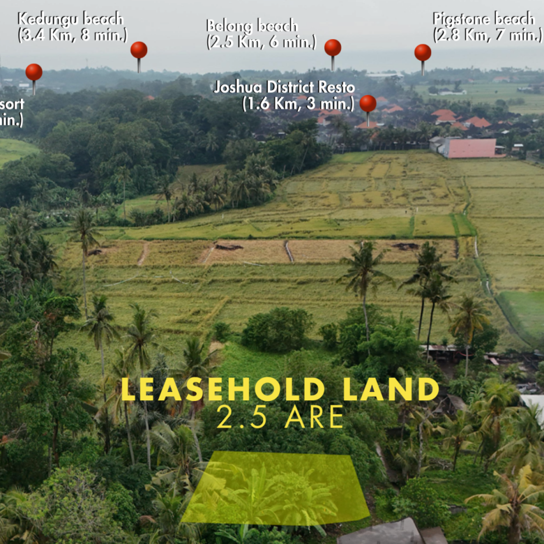Sale Leasehold land 2.5 are Kedungu in bali-3