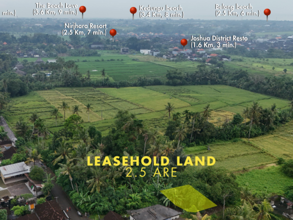 Sale Leasehold land 2.5 are Kedungu in bali-4