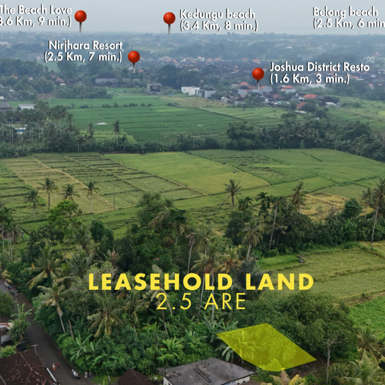 Sale Leasehold land 2.5 are Kedungu in bali-4