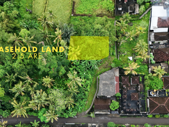 Sale Leasehold land 2.5 are Kedungu in bali