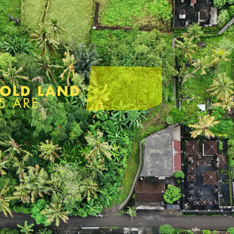 Sale Leasehold land 2.5 are Kedungu in bali
