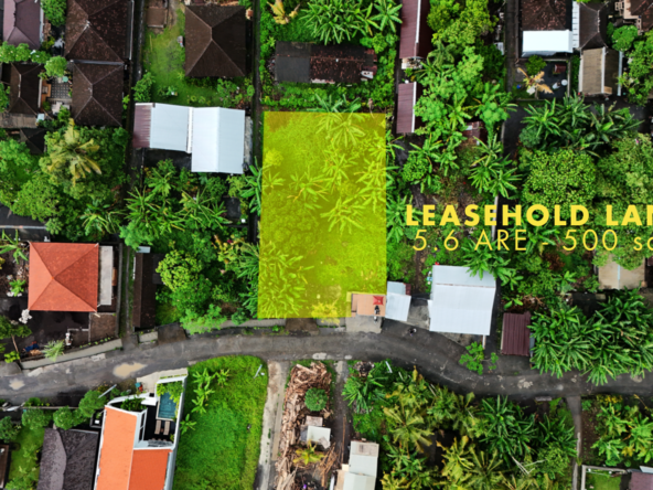 Sale Leasehold land 5 are Kedungu in bali-2