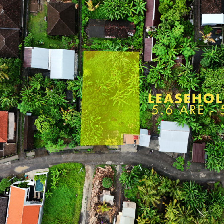 Sale Leasehold land 5 are Kedungu in bali-2