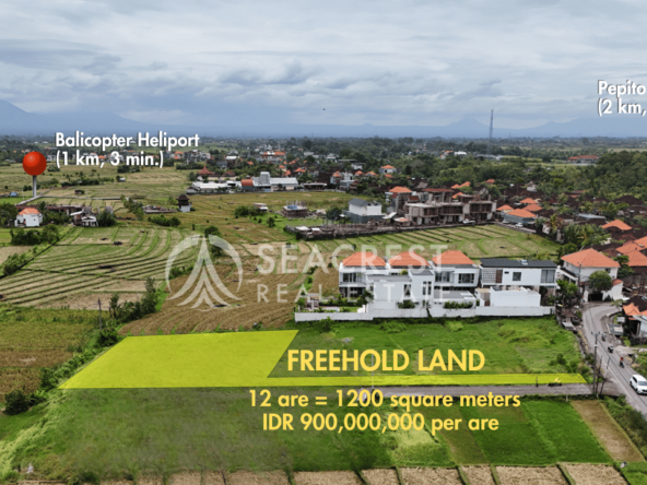 spl524 - freehold 1200 square meters - seacrest real estate development-6