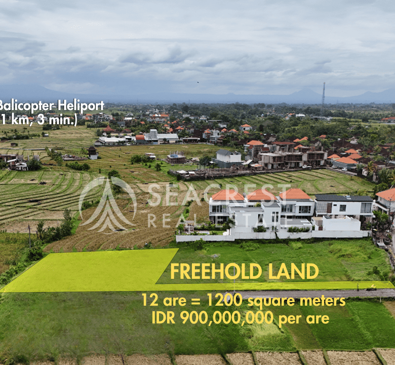 spl524 - freehold 1200 square meters - seacrest real estate development-6