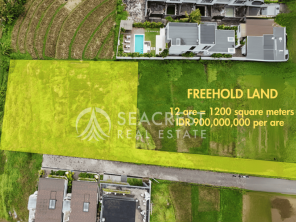 spl524 - freehold 1200 square meters - seacrest real estate development-7