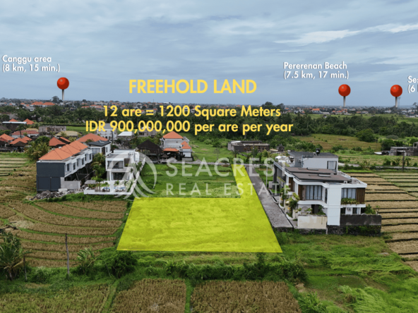 spl524 - freehold 1200 square meters - seacrest real estate development-9