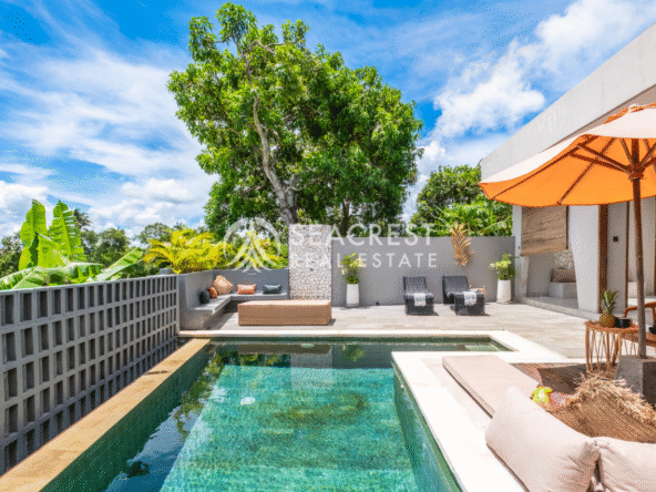 Bali’s Smartest Investment (7)