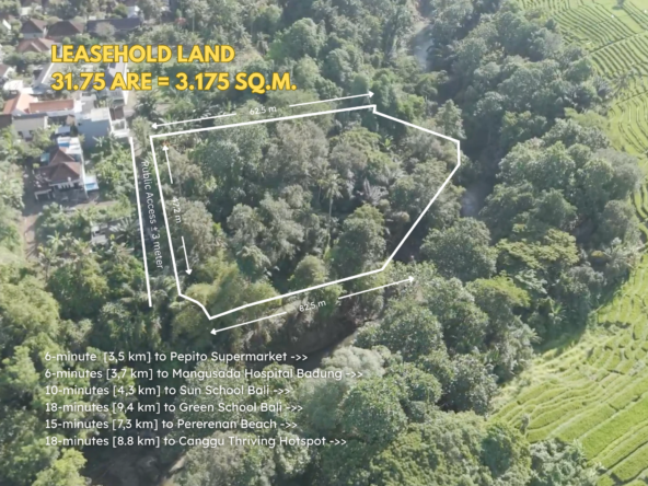 Rare 31,75 Are Bali Riverfront Jungle Land SPL540 (3)