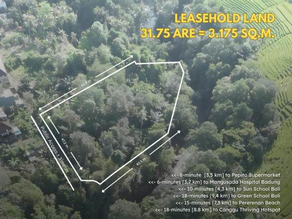 Rare 31,75 Are Bali Riverfront Jungle Land SPL540 (4)