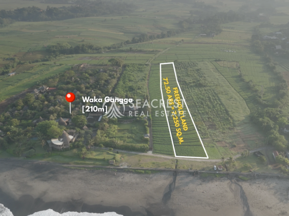 Serenity by the Sea Beachfront Land at Yeh Gangga, Tabanan, Bali spl539 (1)