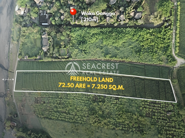 Serenity by the Sea Beachfront Land at Yeh Gangga, Tabanan, Bali spl539 (10)