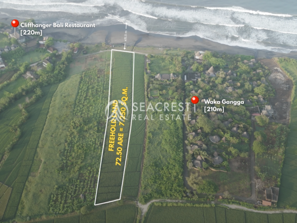 Serenity by the Sea Beachfront Land at Yeh Gangga, Tabanan, Bali spl539 (11)