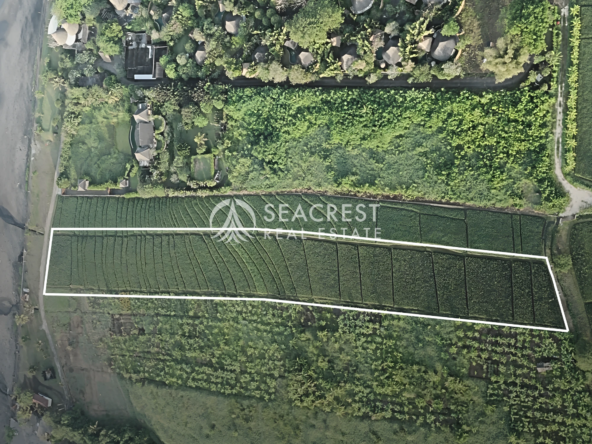 Serenity by the Sea Beachfront Land at Yeh Gangga, Tabanan, Bali spl539 (2)