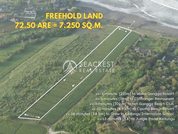 Serenity by the Sea Beachfront Land at Yeh Gangga, Tabanan, Bali spl539 (8)