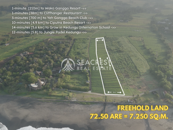 Serenity by the Sea Beachfront Land at Yeh Gangga, Tabanan, Bali spl539 (9)