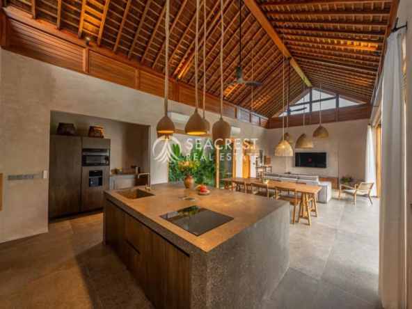 Newly Built Villa Minutes from Cemagi Beach spV536 (1)